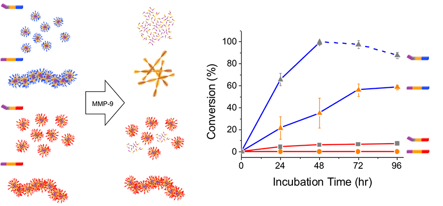 Illustration of nanostructures influenced by cancer cells
